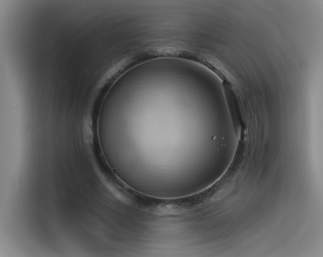 X0000114530634200910191322