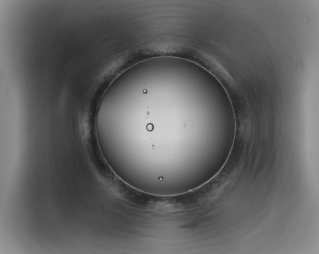 X0000114530635200910191322