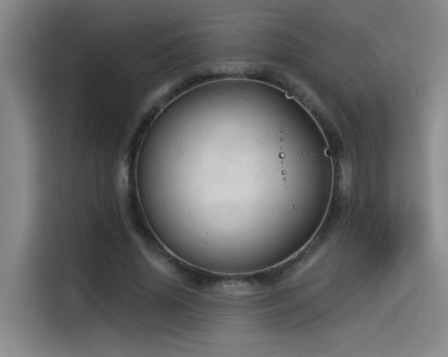 X0000114530636200910191322