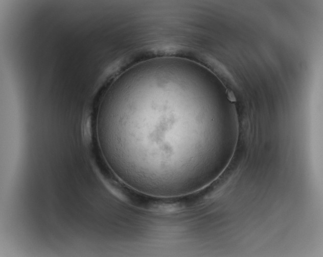 X0000114530638200910191322