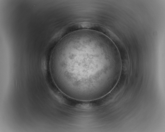 X0000114530639200910191322