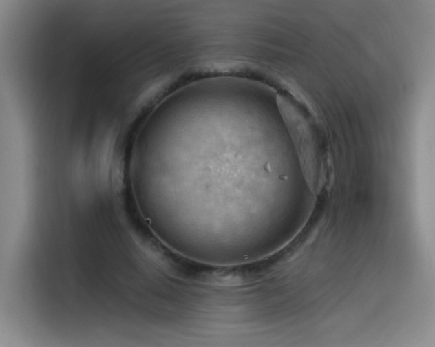 X0000114530640200910191322