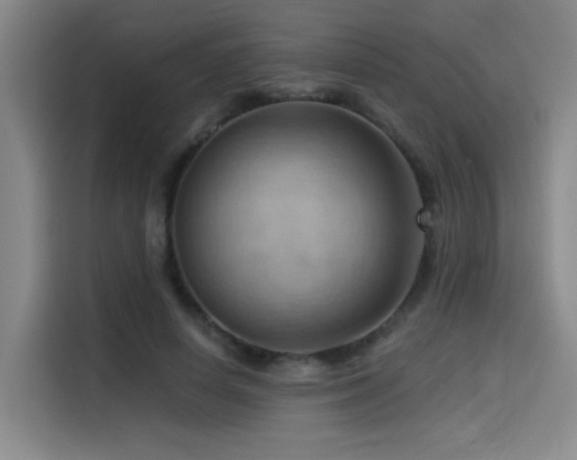 X0000114530642200910191322