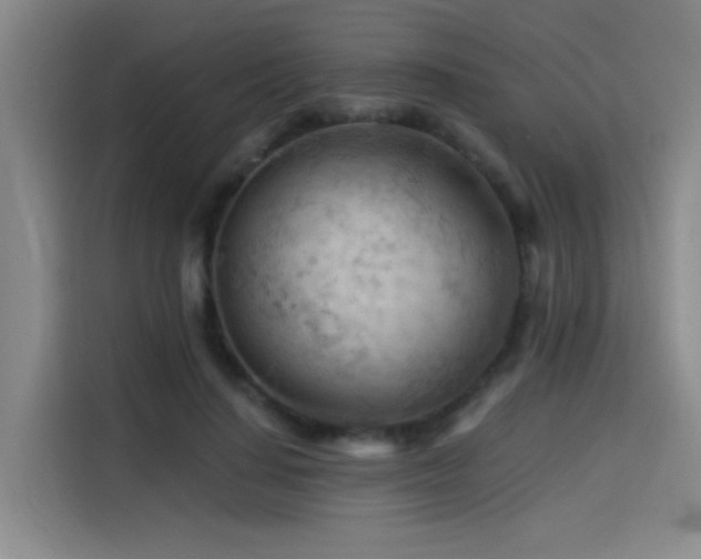 X0000114530644200910191323