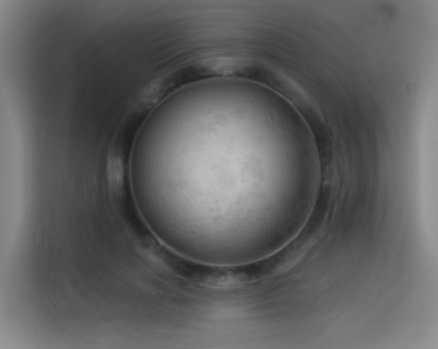 X0000114530646200910191323