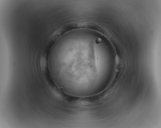 X0000114530648200910191323