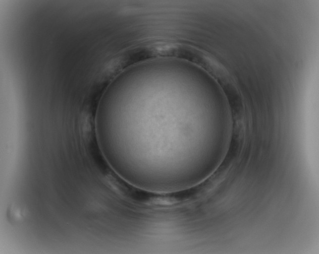 X0000114530654200910191323