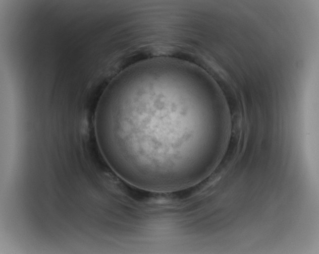 X0000114530655200910191323