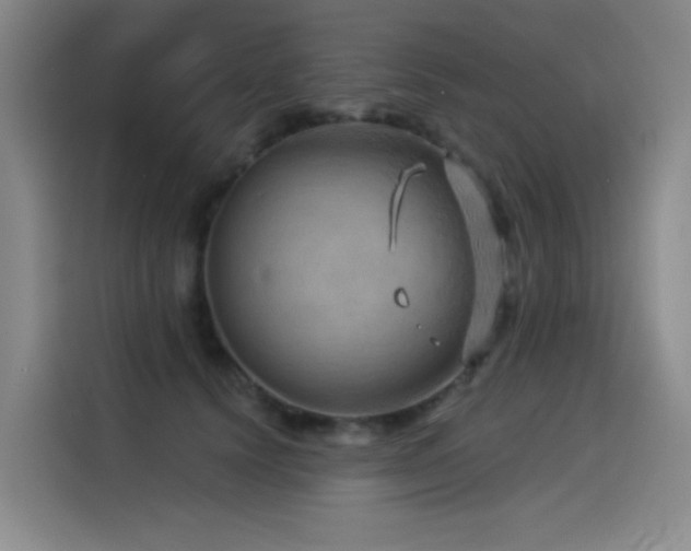 X0000114530656200910191323