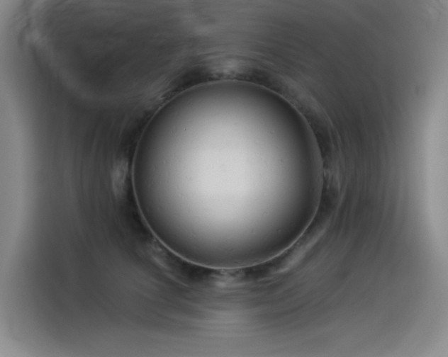 X0000114530660200910191323