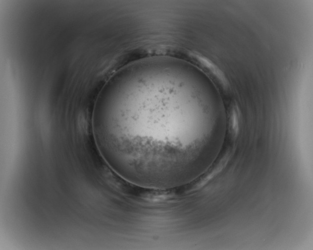 X0000114530661200910191323