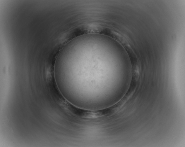 X0000114530663200910191323
