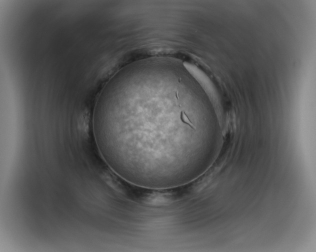X0000114530664200910191323