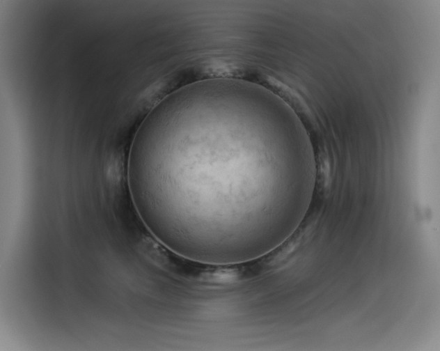 X0000114530665200910191323