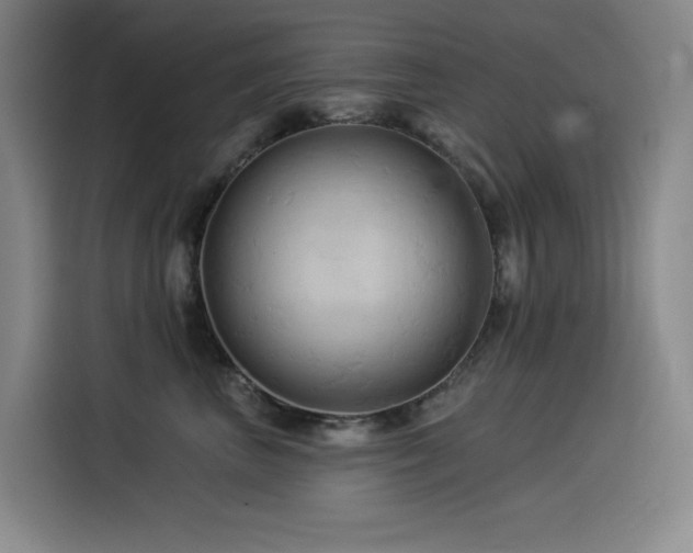X0000114530667200910191323