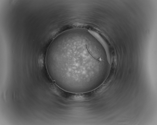 X0000114530668200910191323