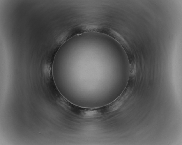 X0000114530669200910191323