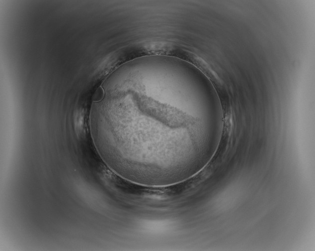 X0000114530671200910191323