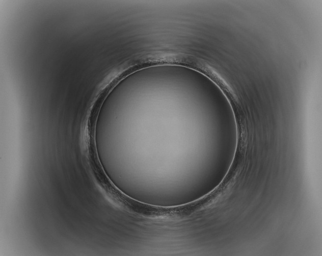 X0000114530674200910191322