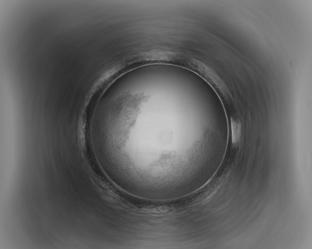 X0000114530675200910191322