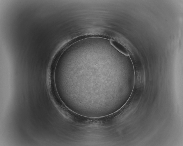 X0000114530676200910191322