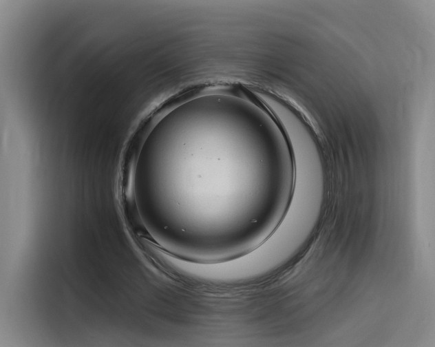 X0000114530677200910191322