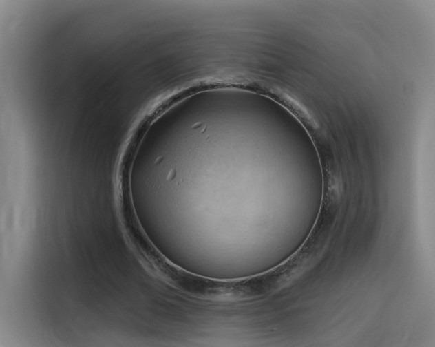 X0000114530678200910191322