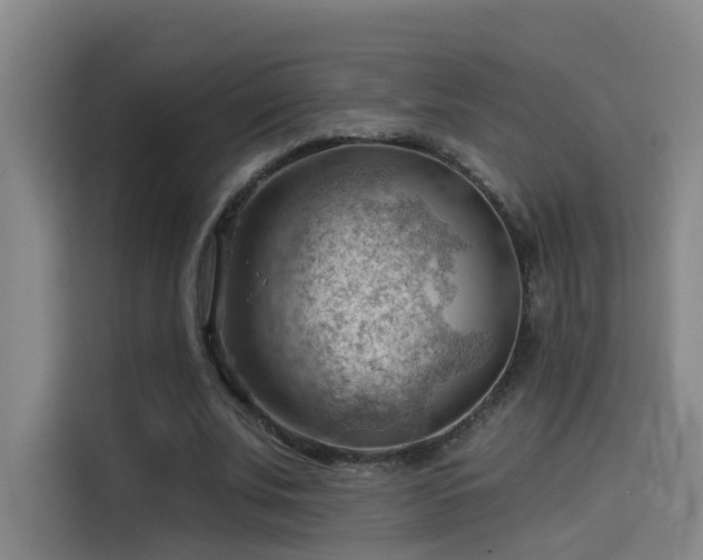 X0000114530679200910191322