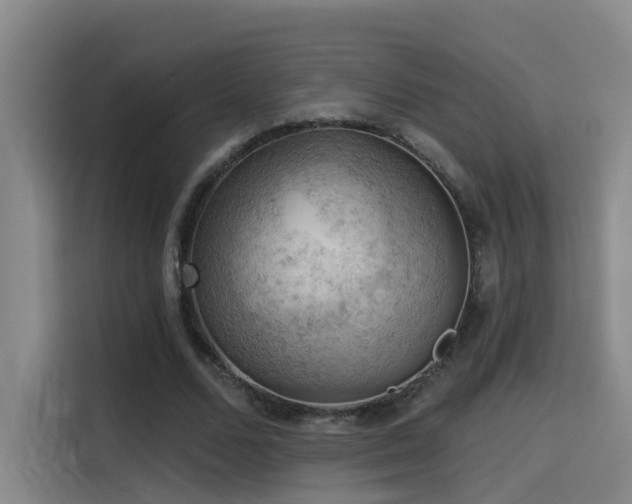 X0000114530680200910191322