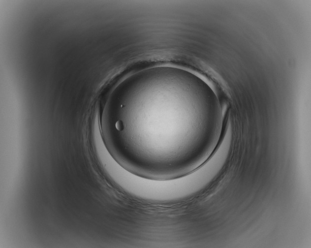 X0000114530681200910191322