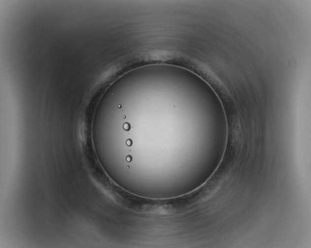 X0000114530683200910191322