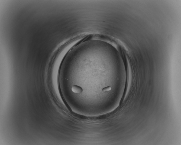 X0000114530684200910191322