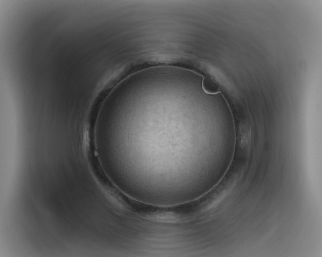 X0000114530685200910191322