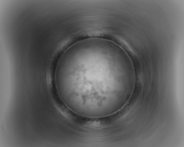 X0000114530687200910191322