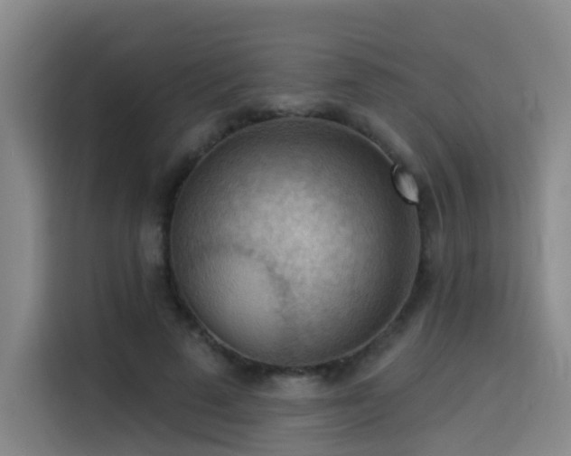 X0000114530689200910191322