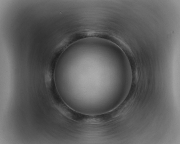 X0000114530691200910191322