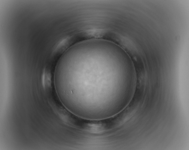 X0000114530693200910191322