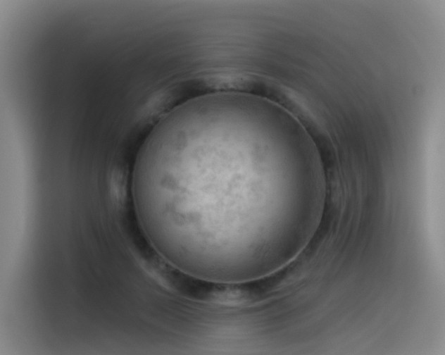 X0000114530695200910191322