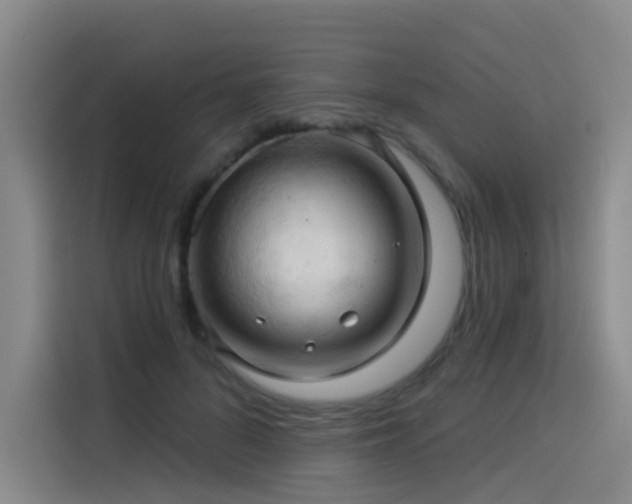 X0000114530696200910191322