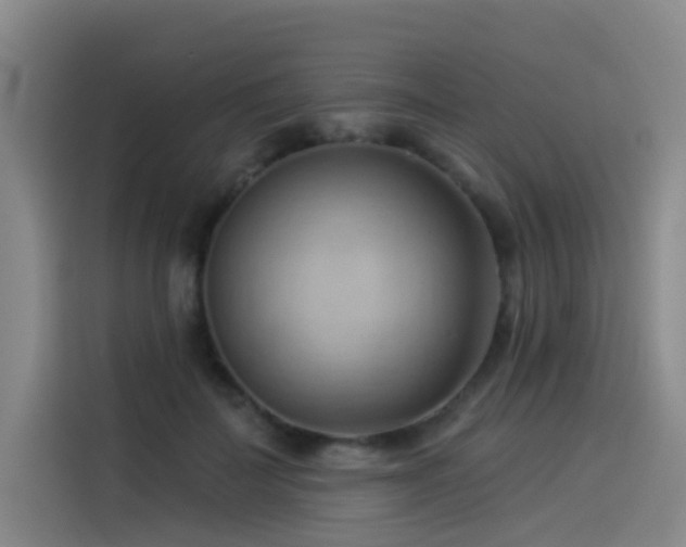 X0000114530699200910191322