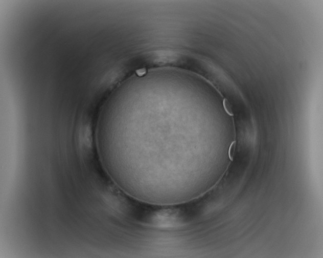 X0000114530700200910191322