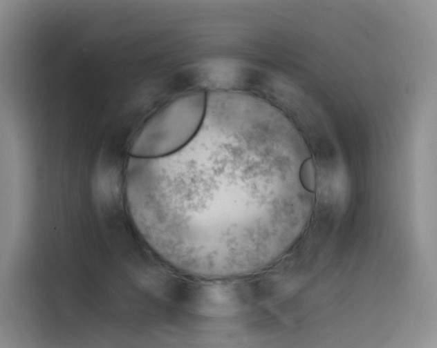 X0000114530701200910191322