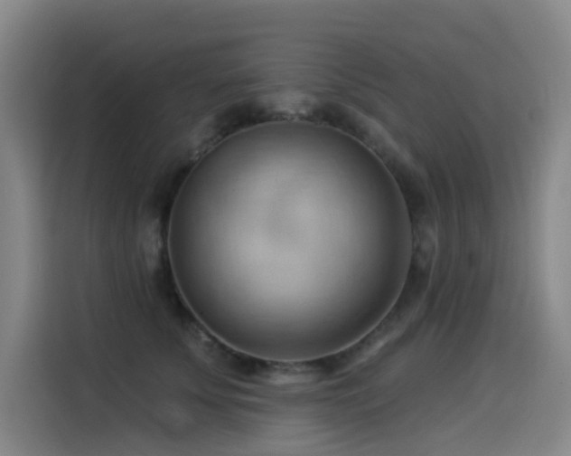 X0000114530707200910191322