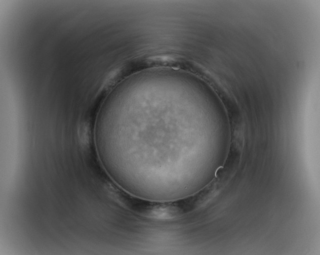 X0000114530708200910191322