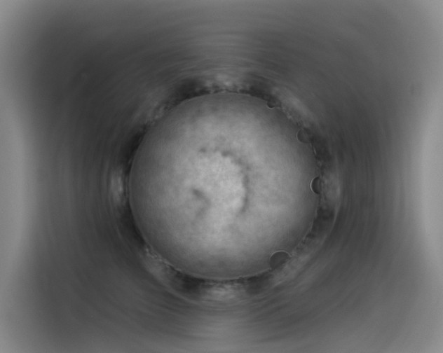X0000114530709200910191322