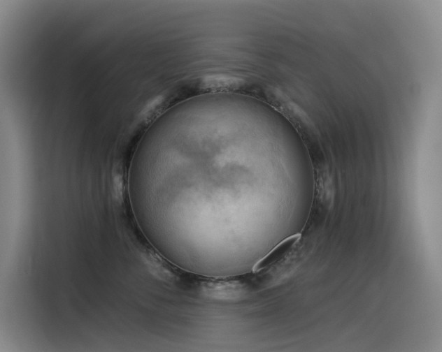 X0000114530716200910191322