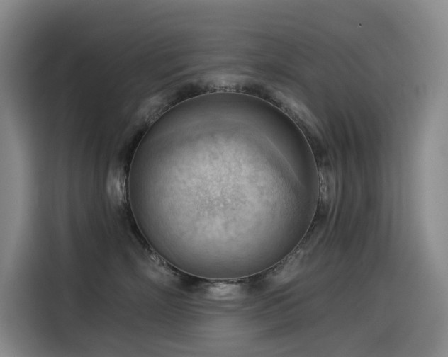 X0000114530718200910191322