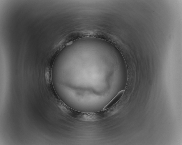 X0000114530720200910191322