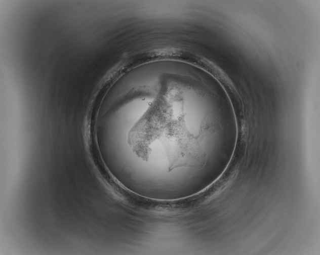 X0000114530725200910191321