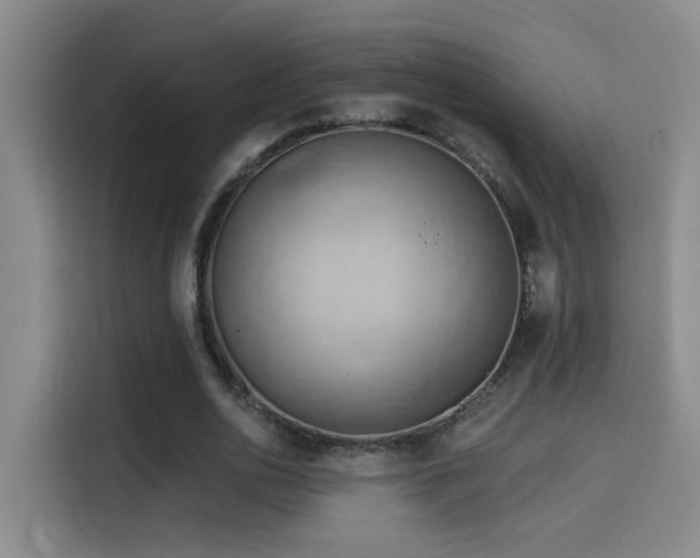 X0000114530726200910191321